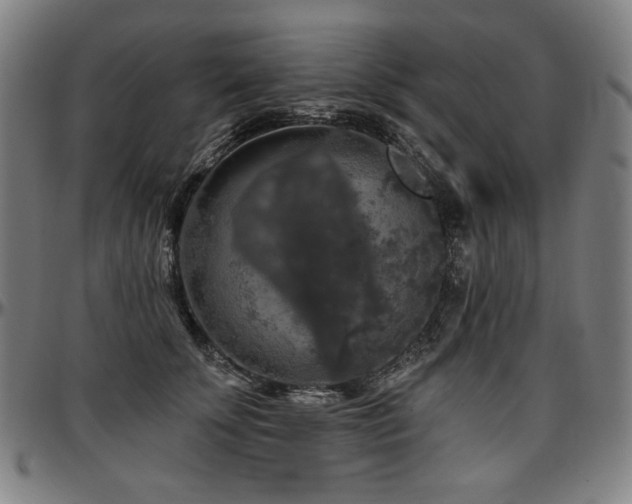 X0000097630707200802291340