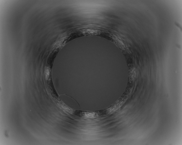 X0000097630709200802291340