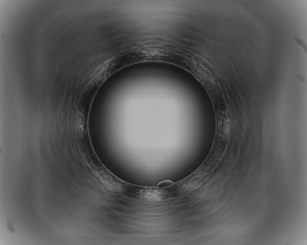 X0000097630710200802291340