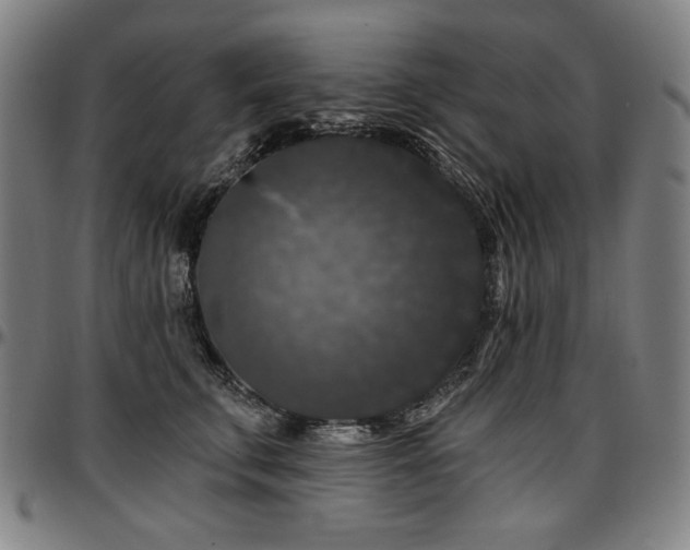 X0000097630711200802291340