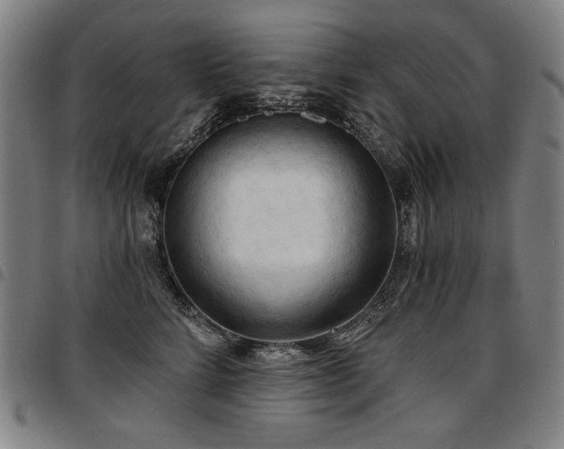 X0000097630712200802291340