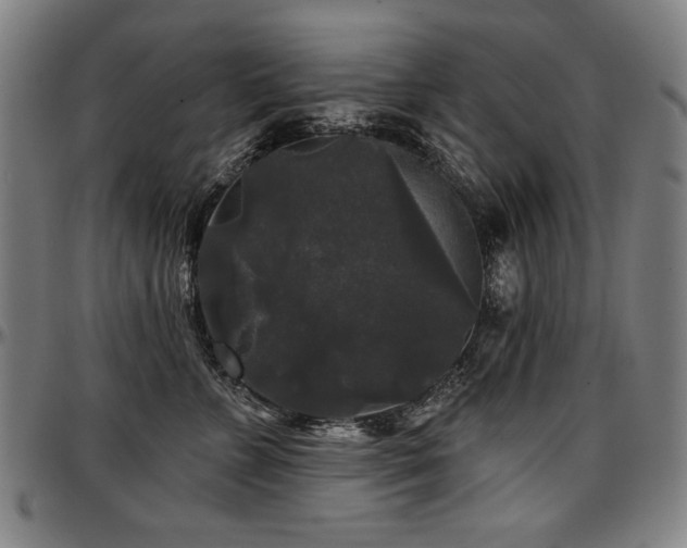X0000097630715200802291340