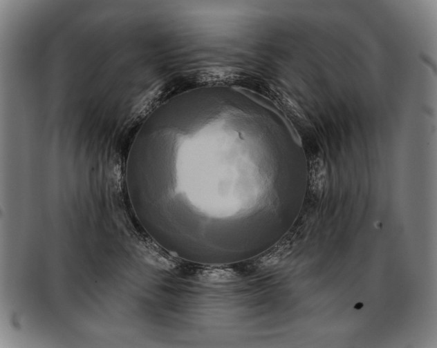 X0000097630716200802291340
