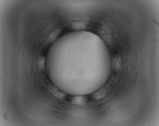 X0000097630717200802291340