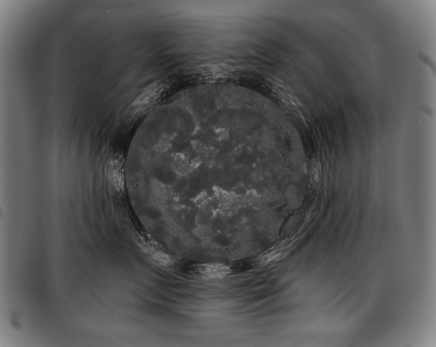X0000097630719200802291340