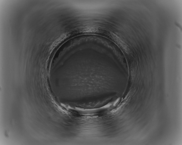 X0000097630721200802291340