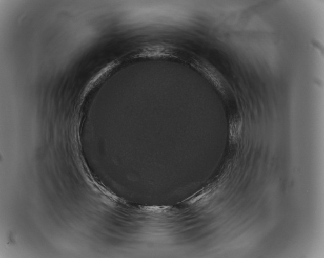 X0000097630724200802291340