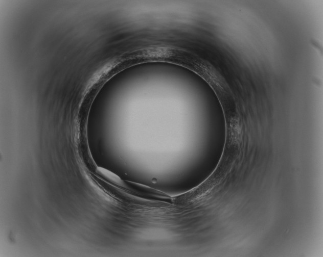X0000097630726200802291340
