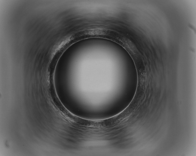 X0000097630727200802291340