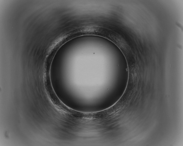 X0000097630728200802291340