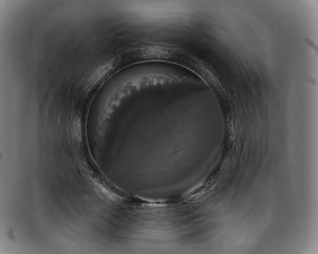 X0000097630729200802291340