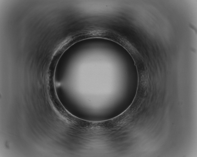X0000097630730200802291340