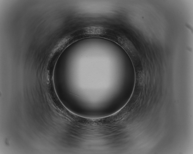 X0000097630731200802291340