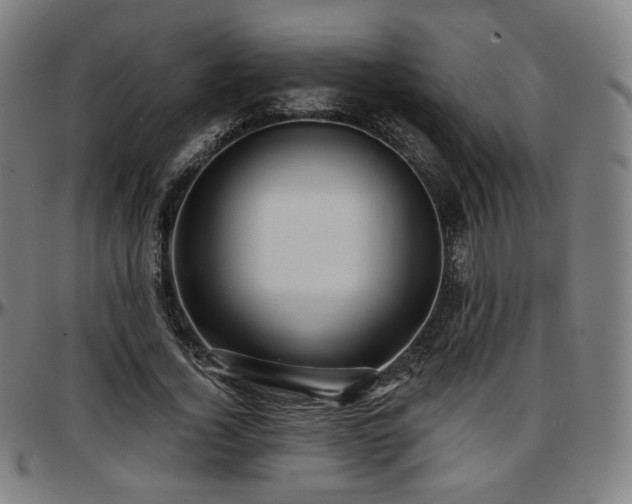 X0000097630732200802291340