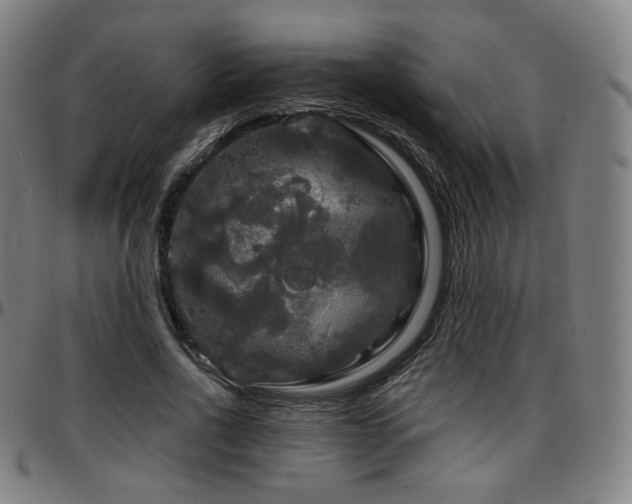 X0000097630734200802291340