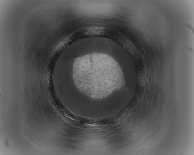 X0000097630735200802291340