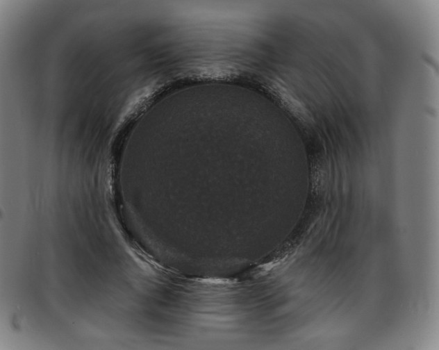 X0000097630736200802291340