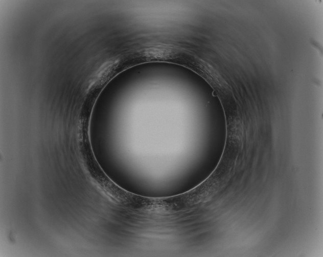 X0000097630738200802291340