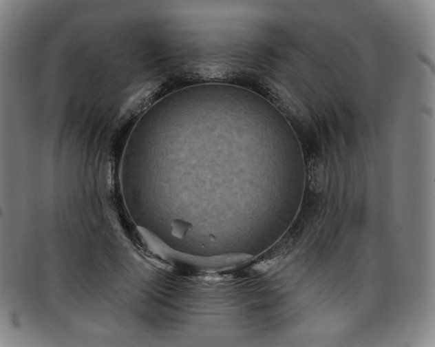 X0000097630740200802291340