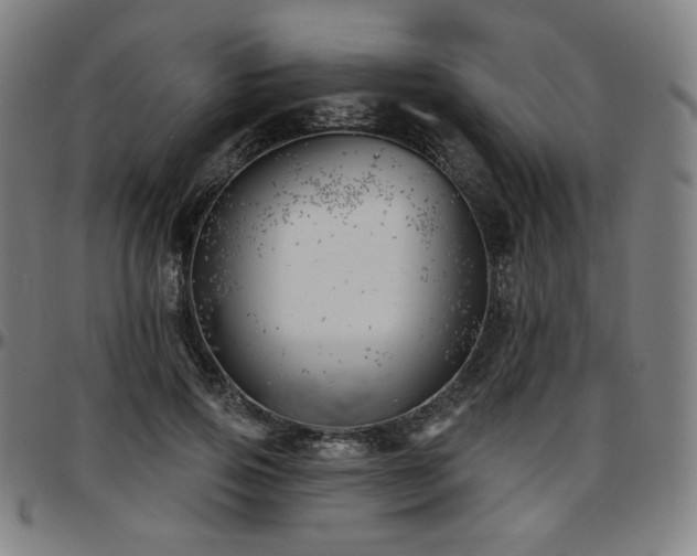 X0000097630741200802291340