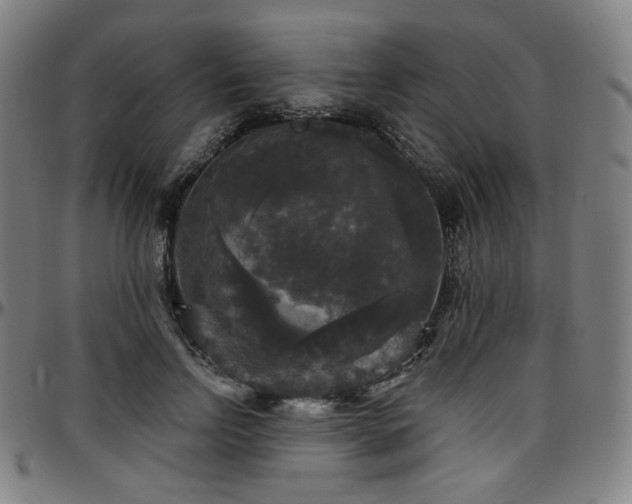 X0000097630742200802291340