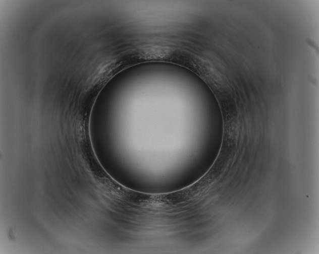 X0000097630743200802291340