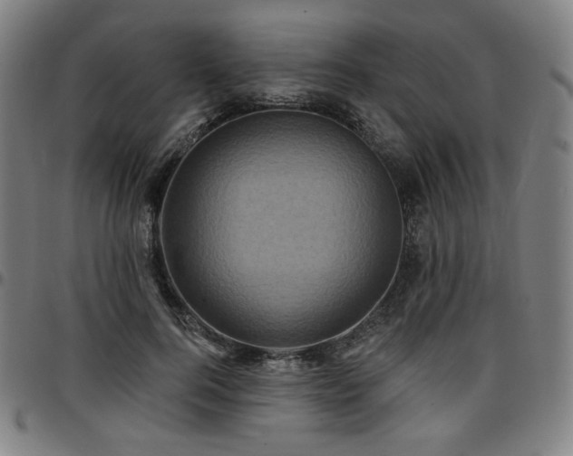 X0000097630744200802291340