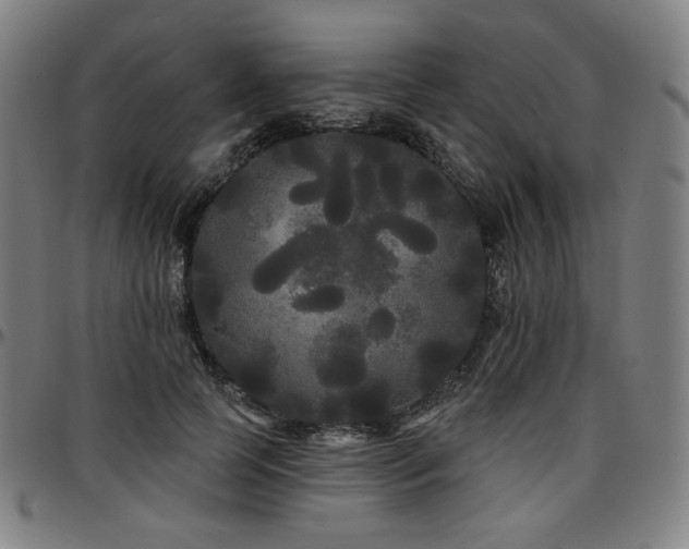 X0000097630745200802291340