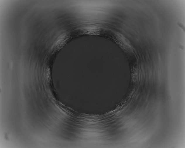 X0000097630748200802291340