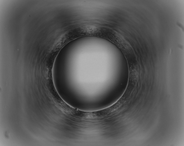 X0000097630750200802291340