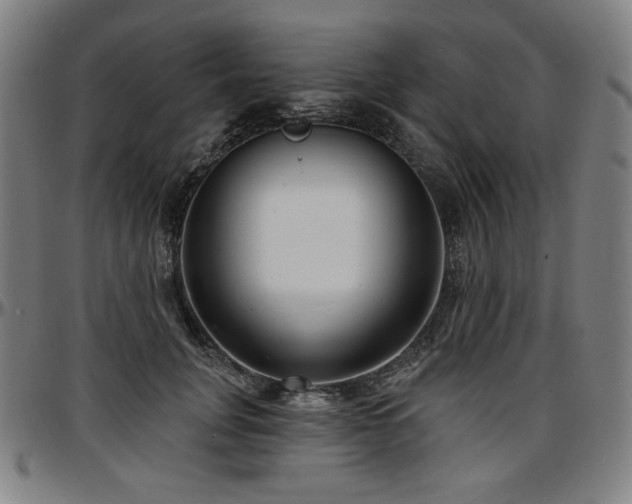 X0000097630751200802291340