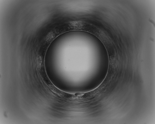 X0000097630752200802291340