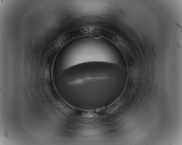 X0000097630754200802291340