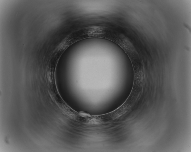 X0000097630755200802291340