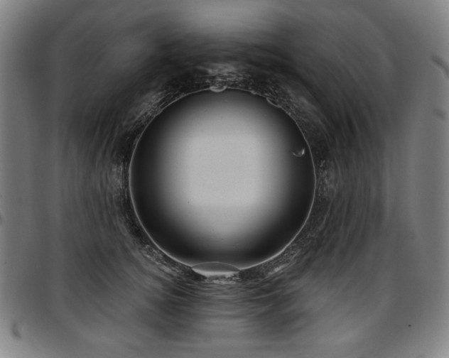 X0000097630756200802291340