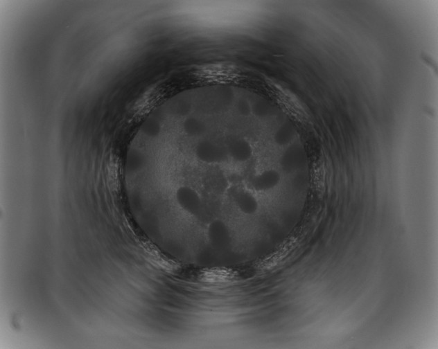 X0000097630757200802291340