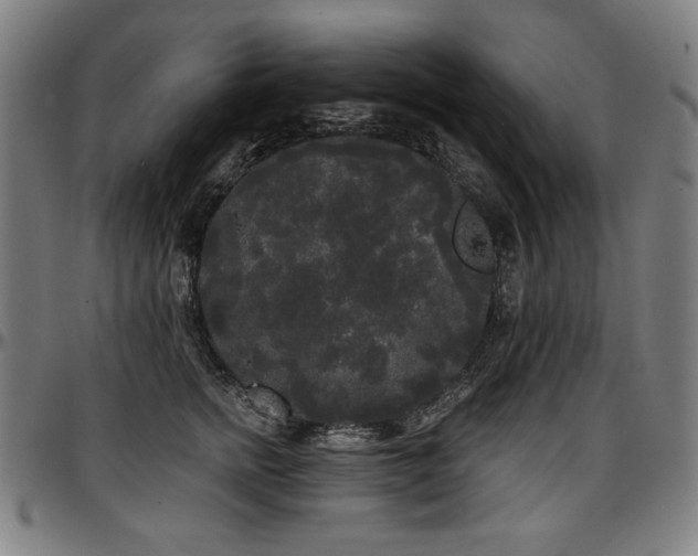 X0000097630758200802291340