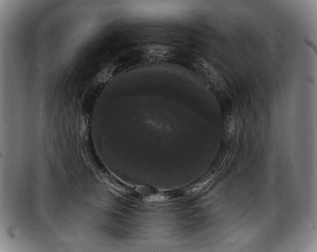 X0000097630759200802291340