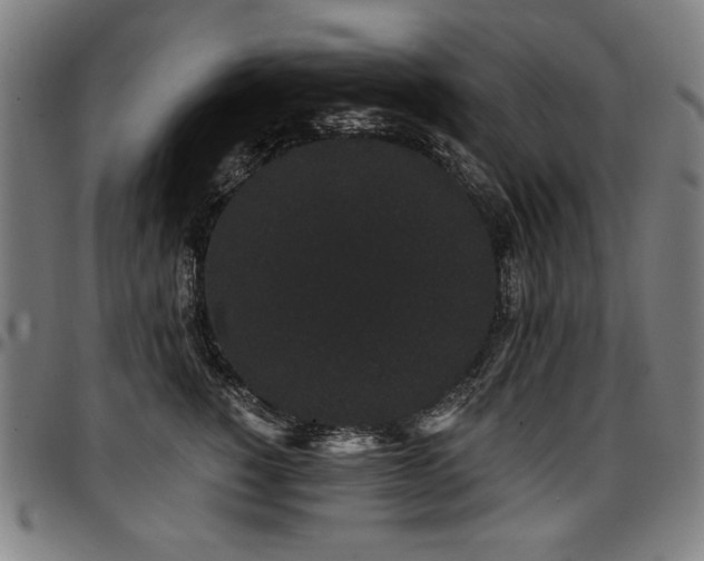 X0000097630760200802291340