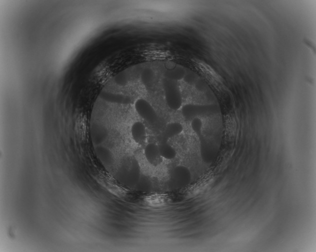 X0000097630761200802291340