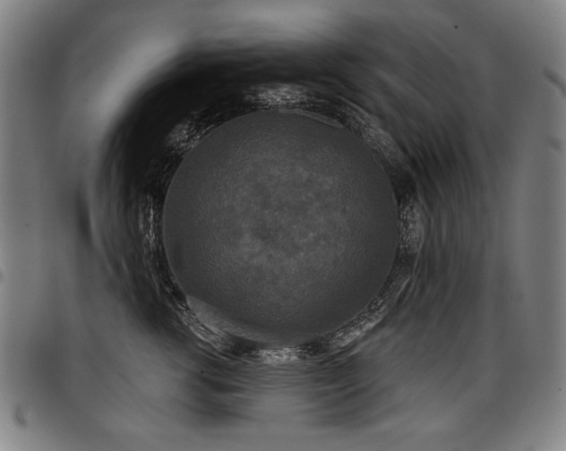 X0000097630762200802291340