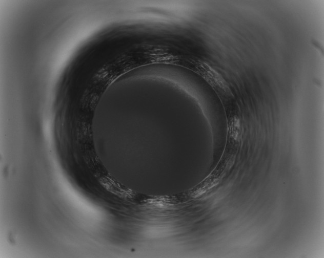 X0000097630763200802291340