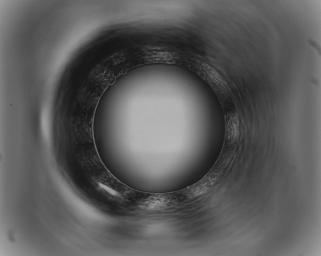 X0000097630764200802291340