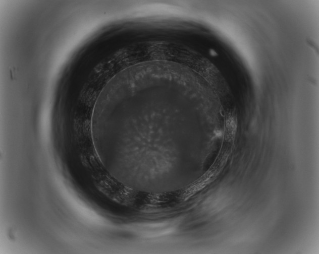 X0000097630765200802291340