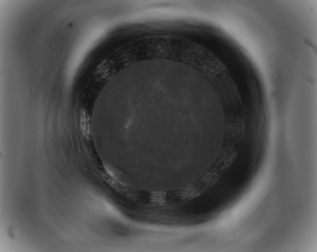 X0000097630766200802291340