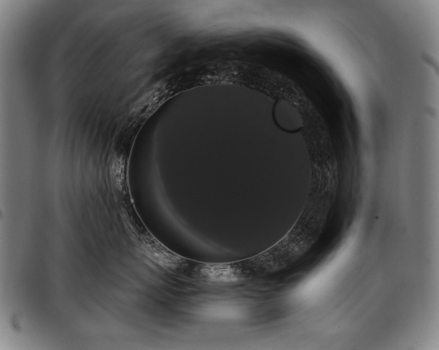 X0000097630767200802291340