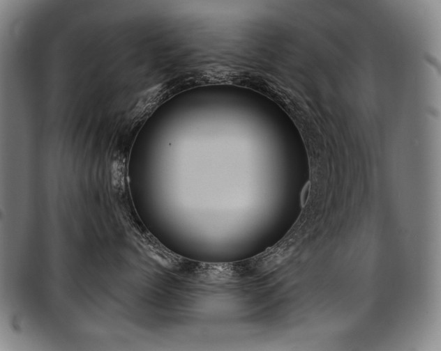 X0000097630768200802291340