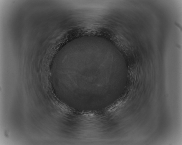 X0000097630769200802291340