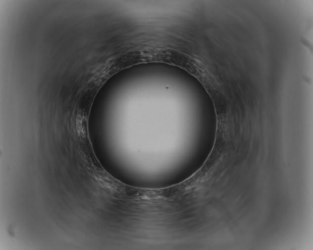 X0000097630770200802291339