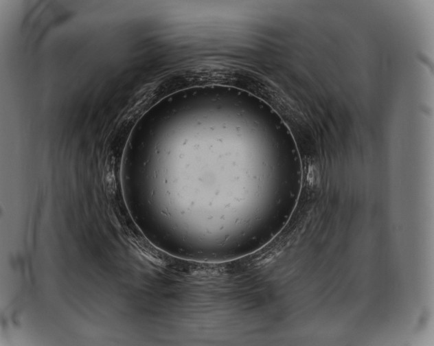 X0000097630771200802291339